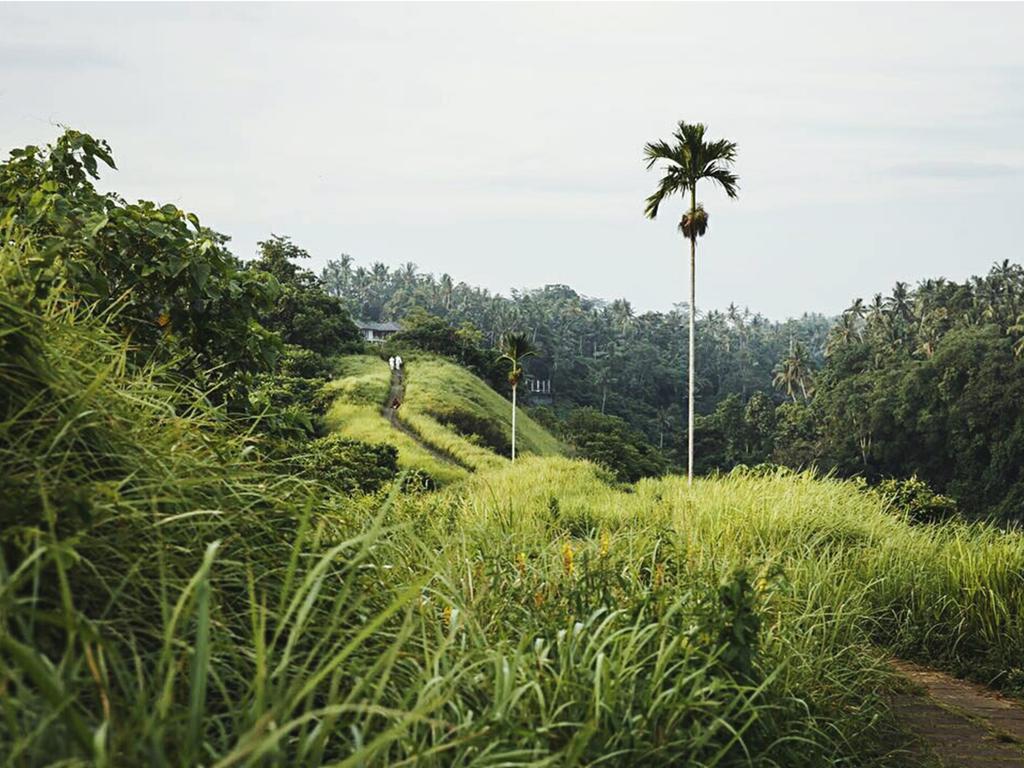 Sri Ratih Cottages, Chse Certified Ubud Buitenkant foto